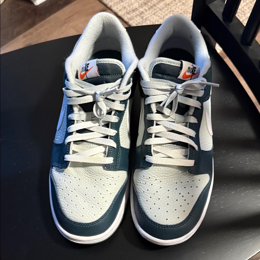 Men’s low nike dunks